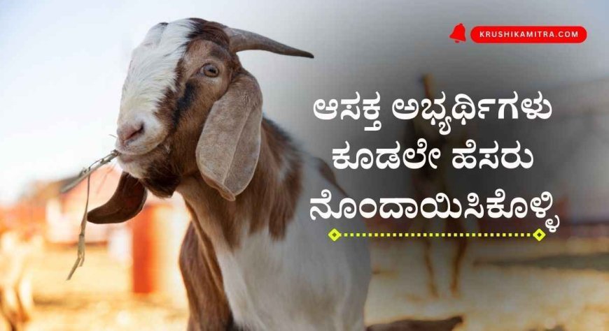 Free goat-sheep training-ಉಚಿತ ಕುರಿ-ಮೇಕೆ ಸಾಕಾಣಿಕೆ ತರಬೇತಿಗೆ ಅರ್ಜಿ ಆಹ್ವಾನ!