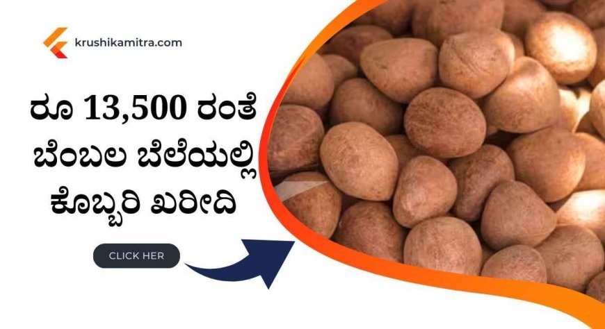 Copra msp price- ಬೆಂಬಲ ಬೆಲೆಯಲ್ಲಿ ಕೊಬ್ಬರಿ ಖರೀದಿಗೆ ಪುನಃ ನೋಂದಣಿಗೆ ಅವಕಾಶ! ಎಷ್ಟು ದಿನ ಅವಕಾಶ ನೀಡಲಾಗಿದೆ?