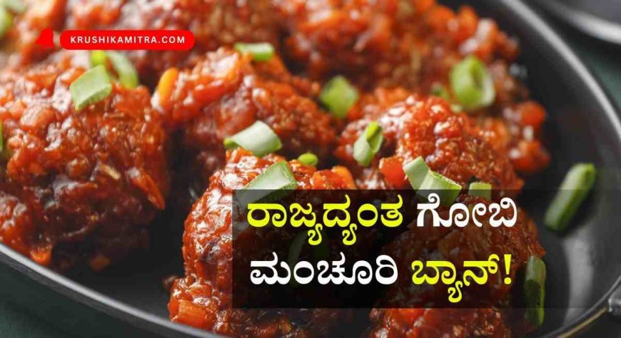 Gobi manchurian- ರಾಜ್ಯದ್ಯಂತ ಗೋಬಿ ಮಂಚೂರಿ ಬ್ಯಾನ್ ಕುರಿತು ಆರೋಗ್ಯ ಸಚಿವ ದಿನೇಶ್ ಗುಂಡೂರಾವ್ ಮಾಹಿತಿ.