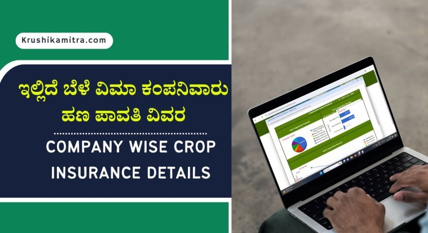 Company wise bele vime details- ಇಲ್ಲಿಯವರೆಗೆ ಕಂಪನಿವಾರು ಎಷ್ಟು? ಬೆಳೆ ವಿಮೆ ಪಾವತಿ ಮಾಡಲಾಗಿದೆ ಎಂದು ಹೇಗೆ ತಿಳಿಯುವುದು?