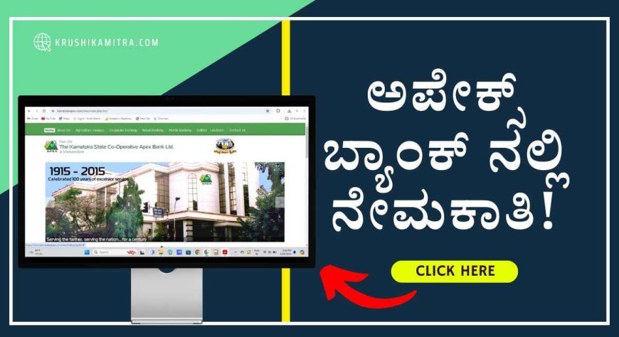 Karnataka Apex Bank Recruitment-2024: ಕರ್ನಾಟಕ ಅಪೇಕ್ಸ್ ಬ್ಯಾಂಕ್ ನಲ್ಲಿ ನೇಮಕಾತಿ!