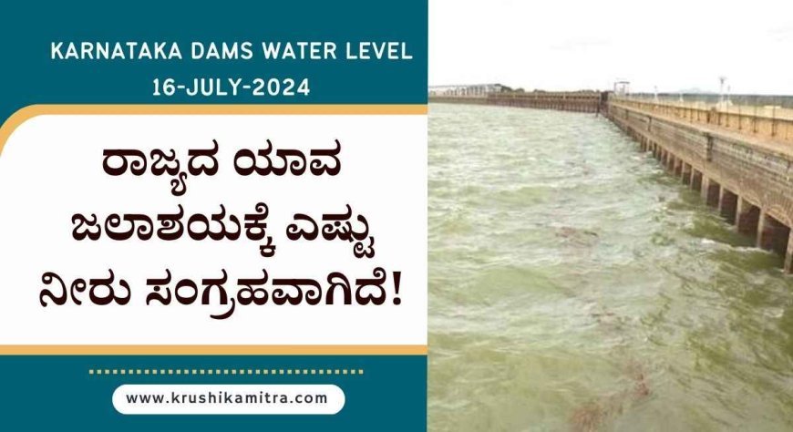 Karnataka dams water level: ಪ್ರಸ್ತುತ ರಾಜ್ಯದ ಯಾವ ಜಲಾಶಯಕ್ಕೆ ಎಷ್ಟು ನೀರು ಹರಿದು ಬರುತ್ತಿದೆ? ಇಲ್ಲಿದೆ ಕಂಪ್ಲೀಟ್ ಡಿಟೈಲ್ಸ್.