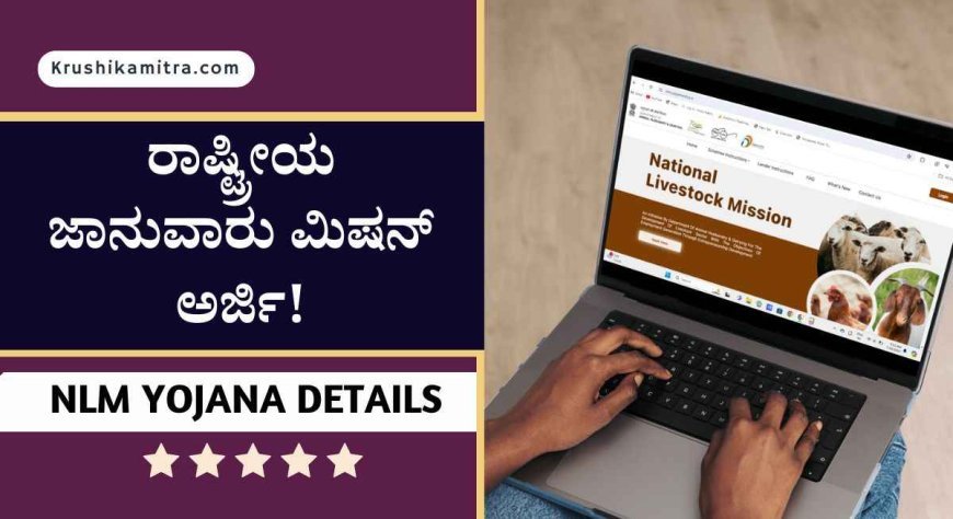 NLM ಯೋಜನೆಯಡಿ ರೂ 25 ಲಕ್ಷದವರೆಗೆ ಶೇ 50% ಸಬ್ಸಿಡಿಯಲ್ಲಿ ಸ್ವ-ಉದ್ಯೋಗ ಮಾಡಲು ಅವಕಾಶ! ಇಲ್ಲಿದೆ ಸಂಪೂರ್ಣ ಮಾಹಿತಿ!