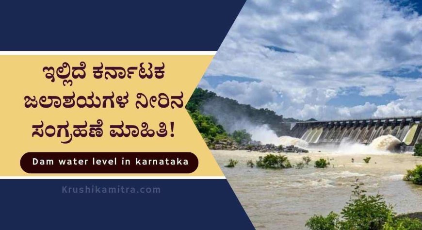 Dam water level in karnataka: ರಾಜ್ಯದ ಯಾವ ಯಾವ ಡ್ಯಾಂ ಎಷ್ಟು? ನೀರು ಭರ್ತಿಯಾಗಿದೆ ಇಲ್ಲಿದೆ ಸಂಪೂರ್ಣ ವಿವರ!