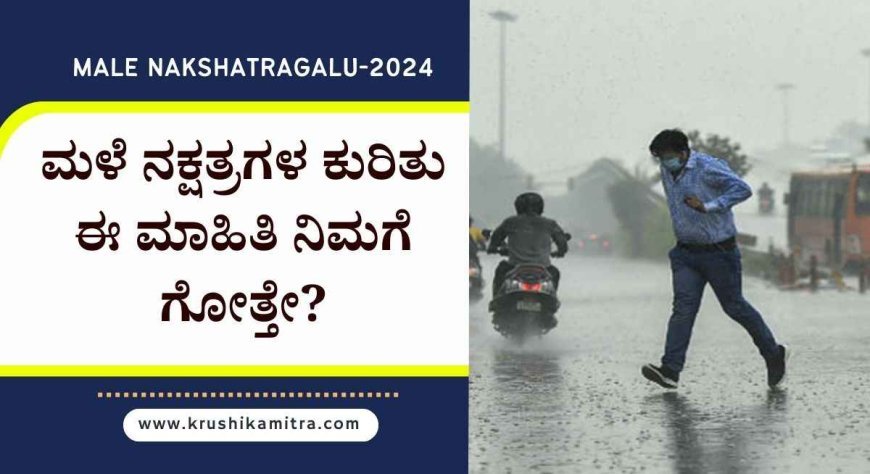 Male nakshatragalu: 2024ರ ಮಳೆ ನಕ್ಷತ್ರಗಳು ಮತ್ತು ಹಿರಿಯರ ಗಾದೆಗಳು! ಇಲ್ಲಿದೆ ಉಪಯುಕ್ತ ಮಾಹಿತಿ!