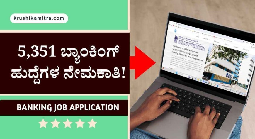 IBPS Banking Jobs-2024: 5,351 ಬ್ಯಾಂಕಿಂಗ್ ಹುದ್ದೆಗಳ ನೇಮಕಾತಿ! ದೇಶದ ಒಟ್ಟು 11 ವಿವಿಧ ಬ್ಯಾಂಕ್ ಗಳಲ್ಲಿ ಉದ್ಯೋಗವಕಾಶ!