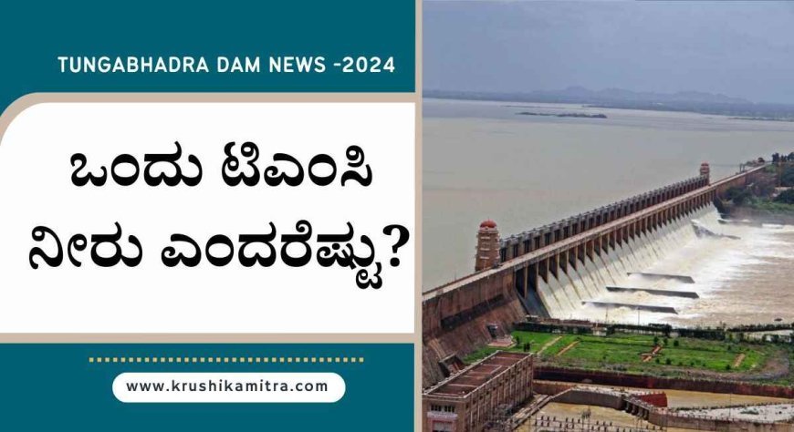 tmc water means- ಒಂದು ಟಿಎಂಸಿ ನೀರು ಎಂದರೆ ಎಷ್ಟು? TB Dam ಕುರಿತು ಇಲ್ಲಿದೆ ಮಾಹಿತಿ!