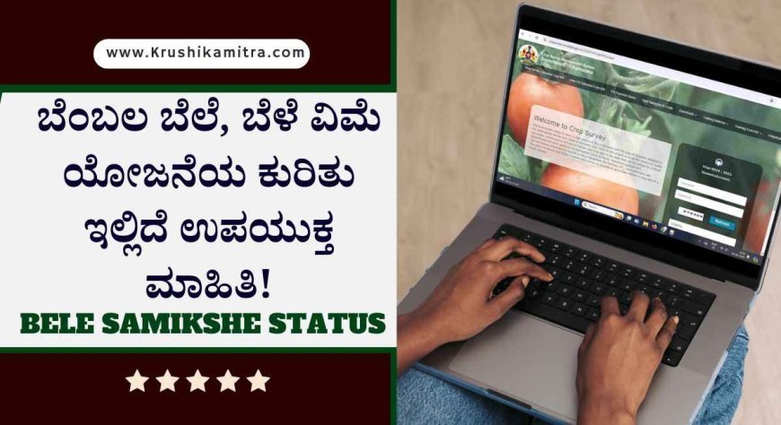 Crop survey-ಬೆಂಬಲ ಬೆಲೆ, ಬೆಳೆ ವಿಮೆ ಯೋಜನೆಯ ಪ್ರಯೋಜನ ಪಡೆಯಲು ಈ ಕೆಲಸ ತಪ್ಪದೇ ಮಾಡಿ!