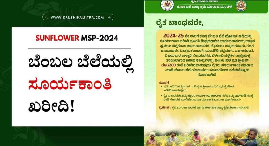 Sunflower msp-2024: ಬೆಂಬಲ ಬೆಲೆಯಲ್ಲಿ ಸೂರ್ಯಕಾಂತಿ ಖರೀದಿಗೆ ಆದೇಶ!