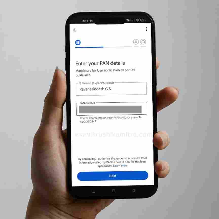 Google Pay loan application