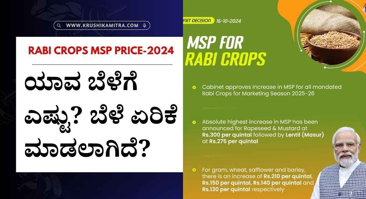 Rabi MSP Price-ಕಡಲೆ,ಗೋಧಿ ಸೇರಿದಂತೆ ಒಟ್ಟು 6 ಬೆಳೆಗಳ ಬೆಂಬಲ ಬೆಲೆ ಹೆಚ್ಚಳ ಮಾಡಿದ ಕೇಂದ್ರ ಸರಕಾರ!