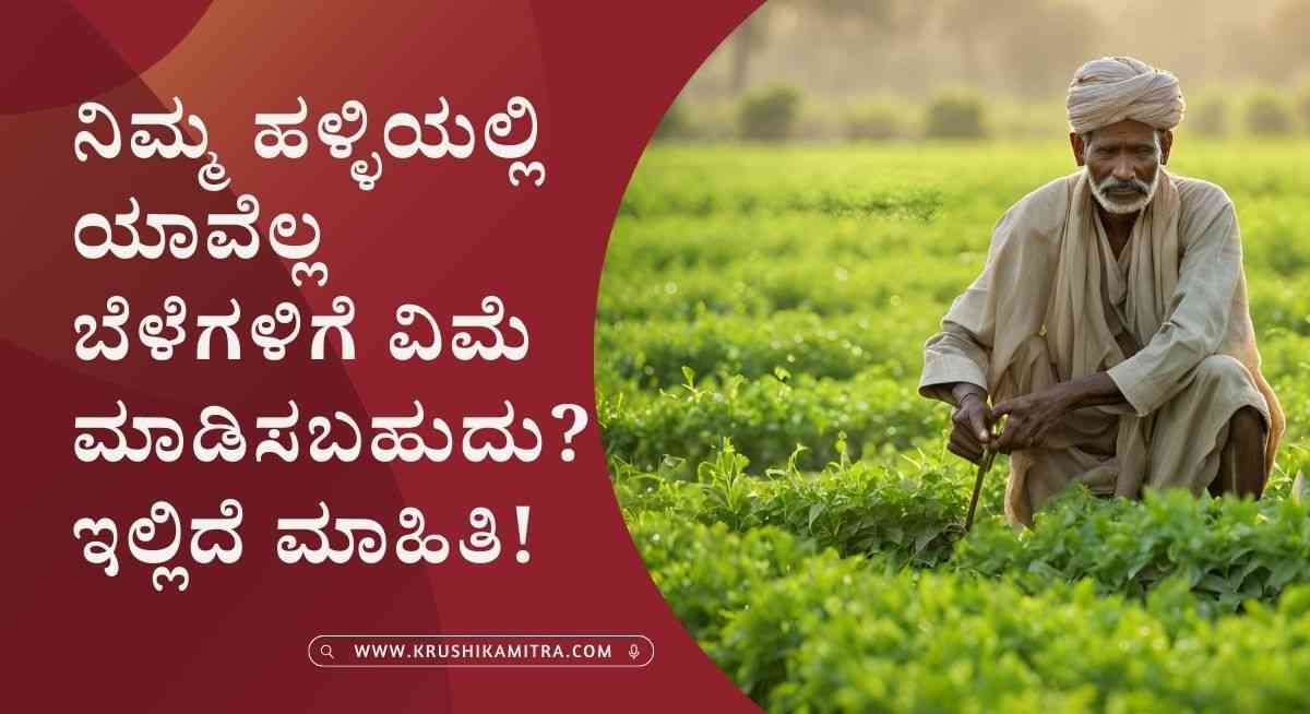 Rabi Crop Insurance-ಹಿಂಗಾರು ಬೆಳೆಗಳಿಗೆ ಬೆಳೆ ವಿಮೆ ಮಾಡಿಸಲು ಅರ್ಜಿ ಆಹ್ವಾನ!