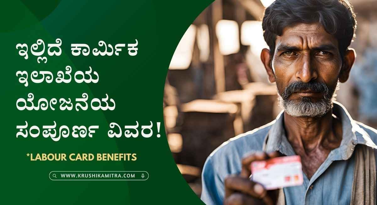 Labour card application- ಕಾರ್ಮಿಕ ಮಂಡಳಿಯಿಂದ ಸ್ಮಾರ್ಟ್ ಕಾರ್ಡ! ಈ ಕಾರ್ಡ ಹೊಂದಿರುವವರಿಗೆ 5 ಲಕ್ಷ ವಿಮೆ ಸೌಲಭ್ಯ!