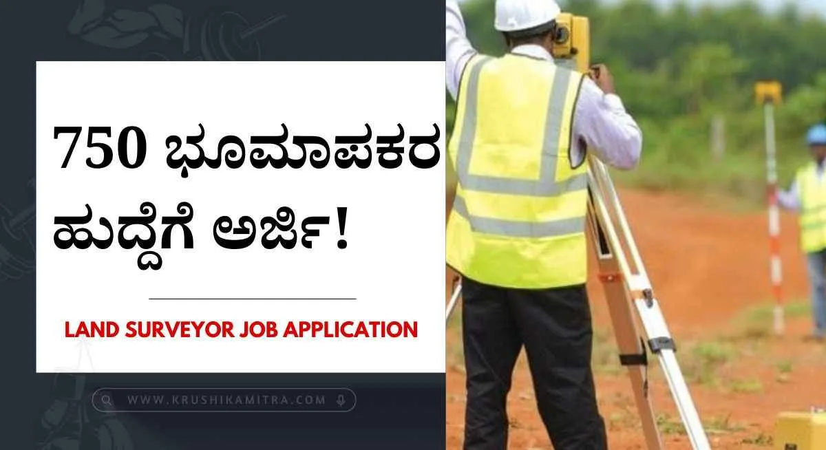 Land surveyor job application