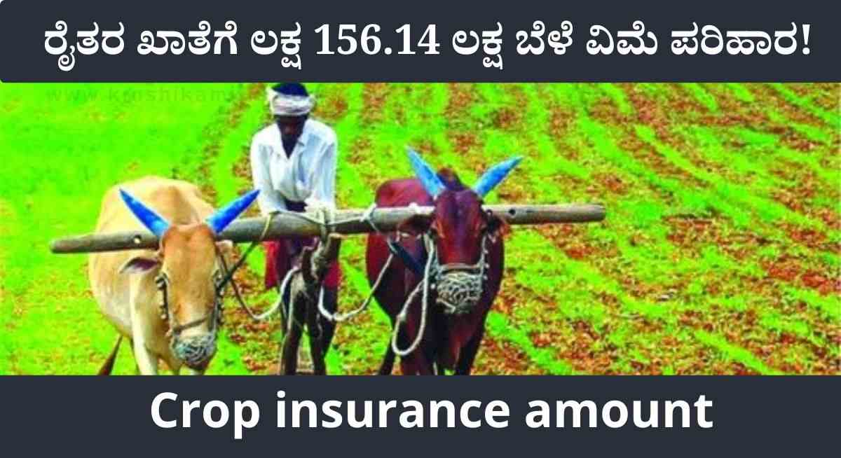 Crop Insurance